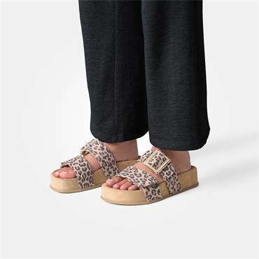 Paul Green 2 Strap Buckle Mule Sandal - Animal Print